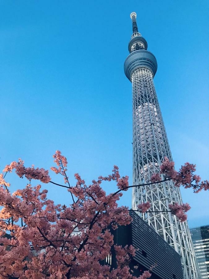 Loft Hotel Tokyo #Oshiage Zewnętrze zdjęcie